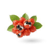 Guarana Extract