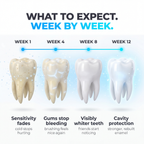 What to expect week by week