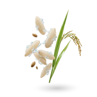 Sodium Phytate
