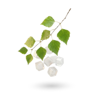 Xylitol + Erythritol